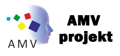 AMV Projekt